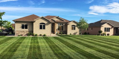 Lawn Care, Lawn Mowing, Grass Cutting, Lawn Maintenance, Lawn Care Business