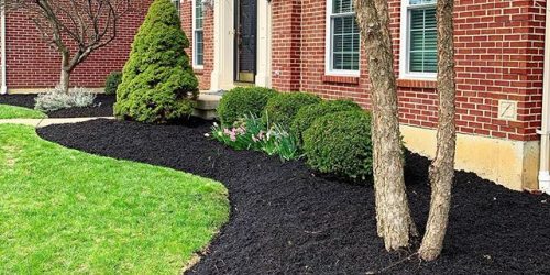 Mulch Installation