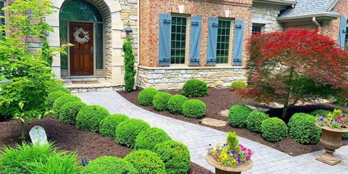 Landscaping Maintenance