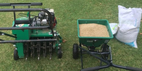 Lawn Aeration & Overseeding