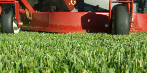 Lawn Mowing Service