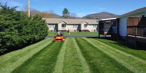 Lawn Care, Lawn Mowing, Grass Cutting, Lawn Maintenance, Lawn Care Business